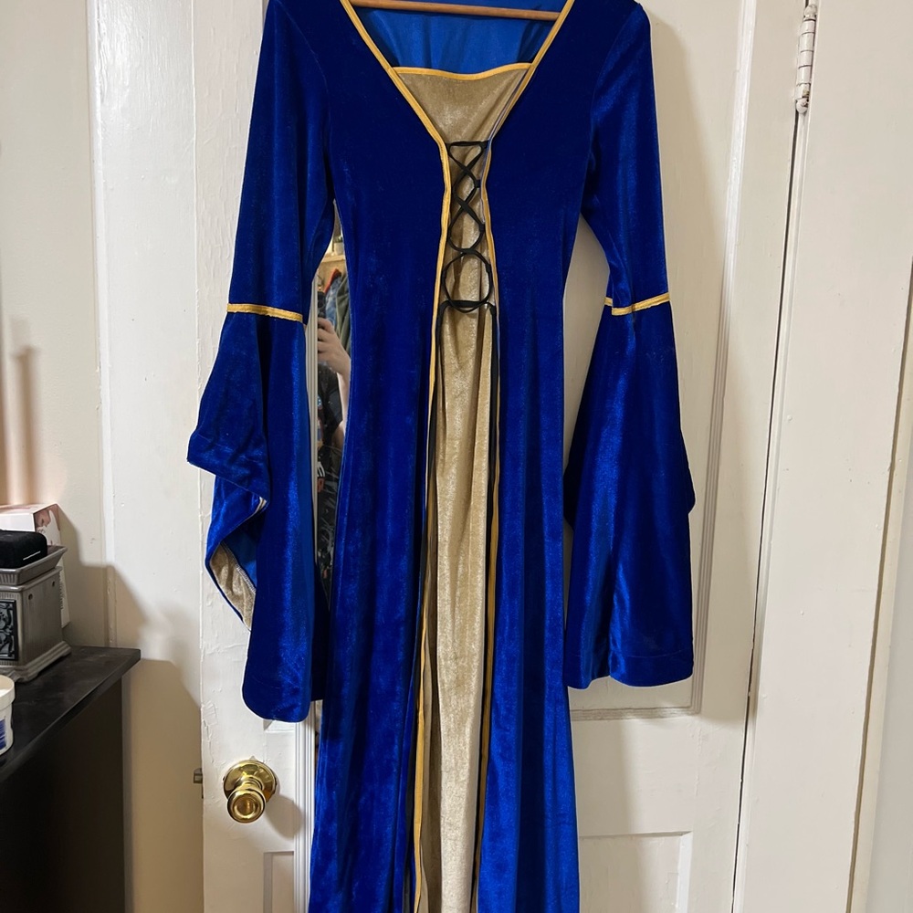 Deep Blue Velvet & Gold Long Sleeve Medieval/ Renaissance Style Dress, Cosplay